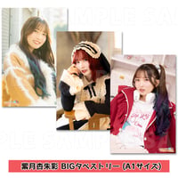 紫月杏朱彩 BIGタペストリー（おでかけ・メイド・ゲーム）A1サイズ