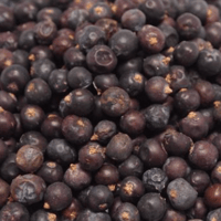 ジュニパーベリー（JUNIPER BERRY）100g
