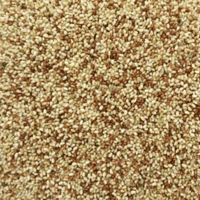 テフホワイト（TEFF WHITE）70g
