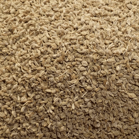 アジュワンシード（AJWAIN SEED）100g