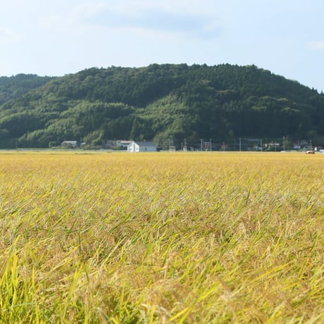 【定期便｜玄米15kg】自然栽培米 日々重（毎月お届け・送料無料）