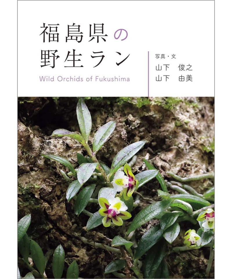 福島県の野生ラン | 福島県の野生ラン