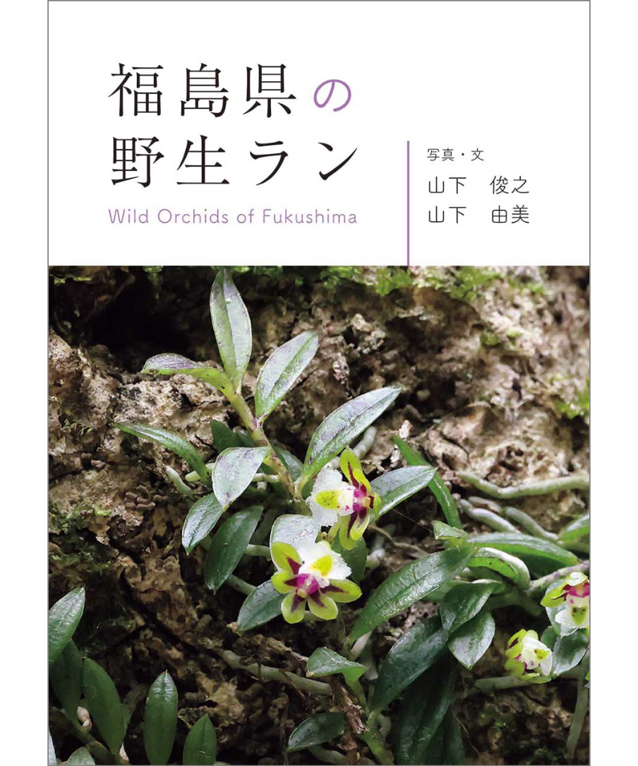 福島県の野生ラン | 福島県の野生ラン