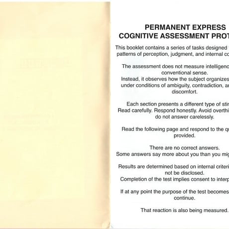 PERMANENT EXPRESS “TEST” Tee
