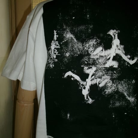 класифікується Tee