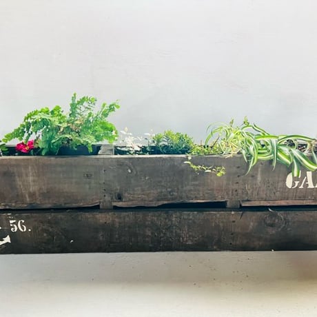 palette planter （GARDEN)