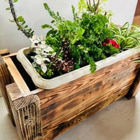 plant shelf (ung)