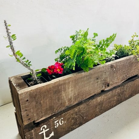 palette planter （GARDEN)
