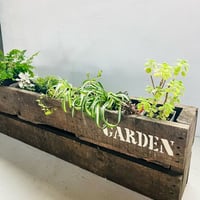 palette planter （GARDEN)