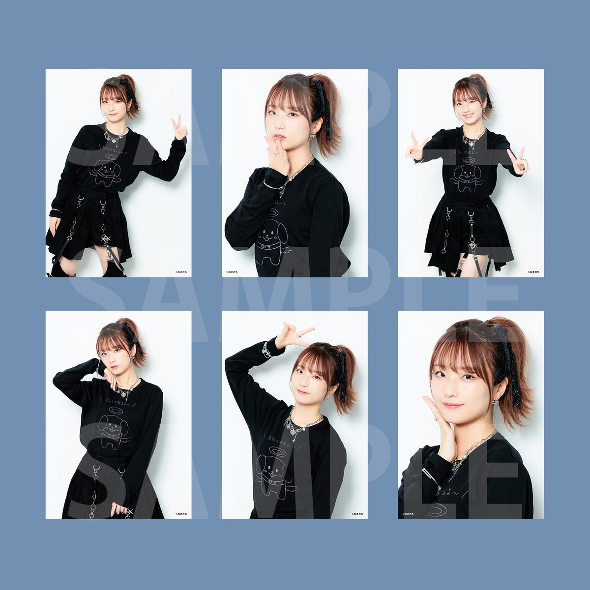 ぬまおちバスツアー2026 トレーディングブロマイドセット 全12種2枚