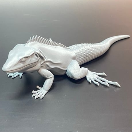 イグアナ | STORES