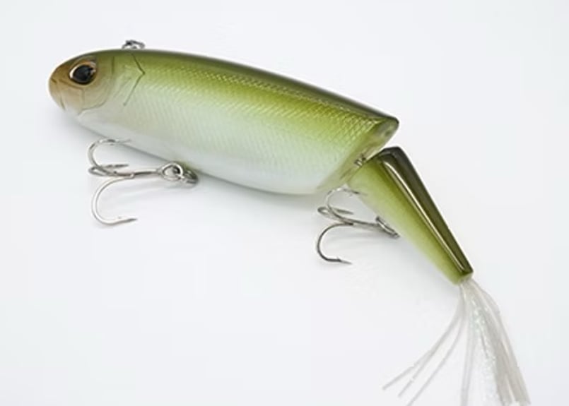 PAYFORWARD / MULTY (モルティ) | Carrey fishing gara