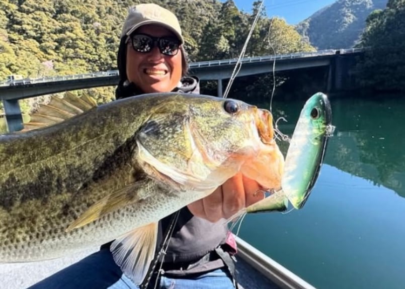 PAYFORWARD / MULTY (モルティ) | Carrey fishing gara