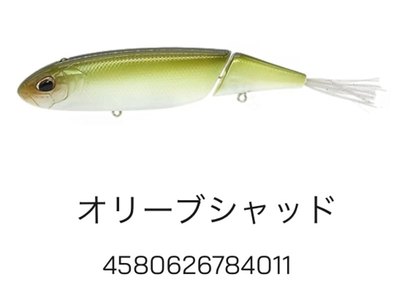 PAYFORWARD / MULTY (モルティ) | Carrey fishing gara