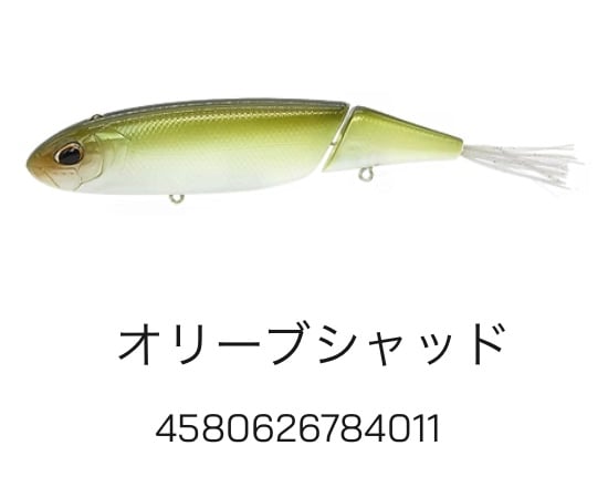 PAYFORWARD / MULTY (モルティ) | Carrey fishing gara