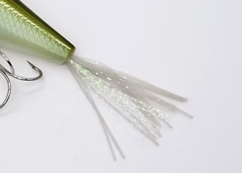 予約販売 PAYFORWARD / MULTY (モルティ) 【4月下旬入荷予定】 | Ca