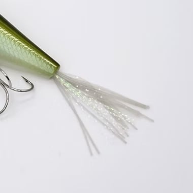 PAYFORWARD / MULTY (モルティ) | Carrey fishing gara