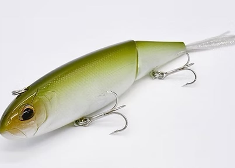 PAYFORWARD / MULTY (モルティ) | Carrey fishing gara