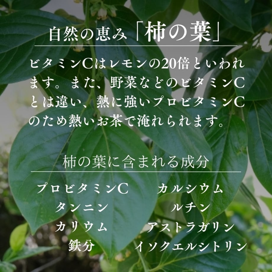 69368f7351afd14a3a41bd8b