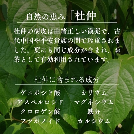 【クリックポスト】国産杜仲茶　ティーバッグ