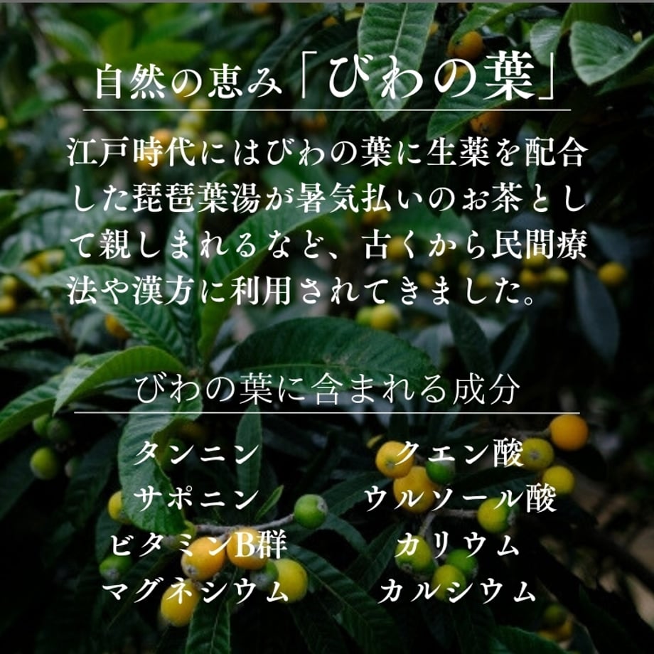 69392c1bf09fa023157c85f6