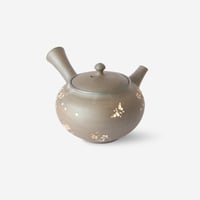 常滑焼　桜細急須　ささめ　満水容量180ml　化粧箱入り
