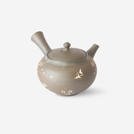 常滑焼　桜細急須　ささめ　満水容量180ml　化粧箱入り