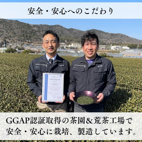 【クリックポスト】抹茶入り深蒸し緑茶　ティーバッグ　2.5g×100p