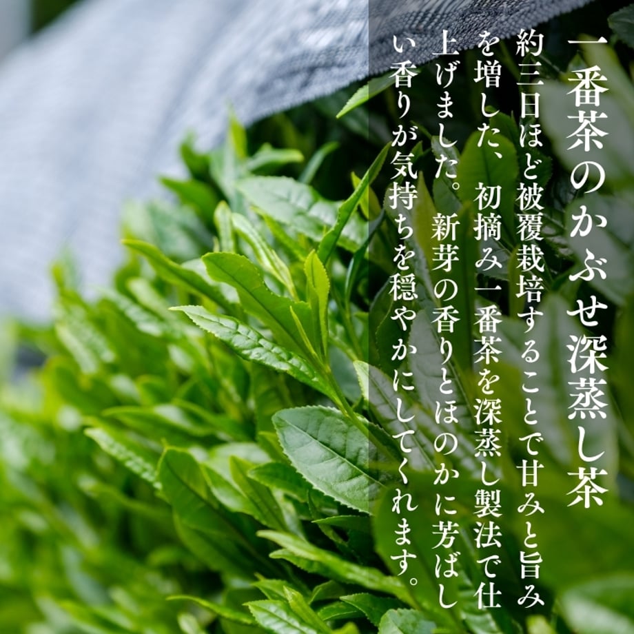 6937a95f0961247a07b97e94