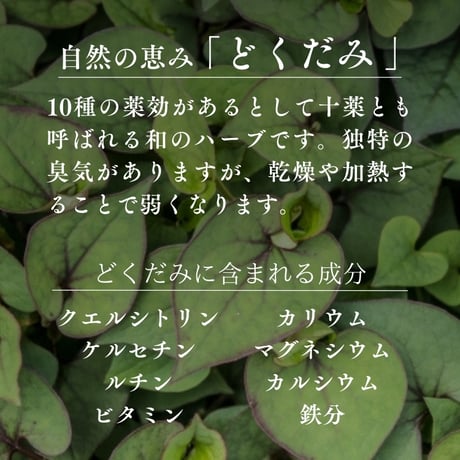 国産どくだみ茶　ティーバッグ