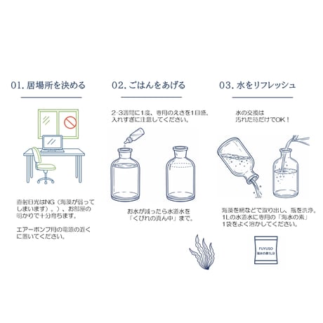 【浮遊藻】すじ青のりセット