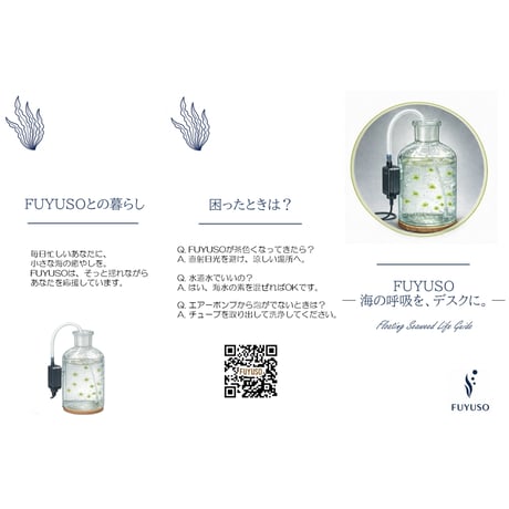 【浮遊藻】すじ青のりセット