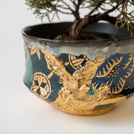 CATEGORY 鉢 | 器KABUKI STORE器