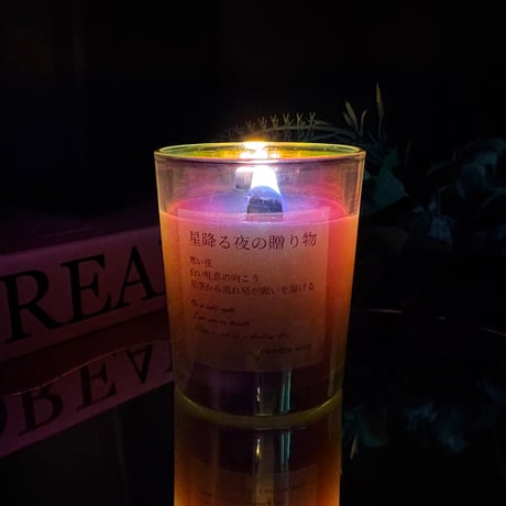 星降る夜の贈り物