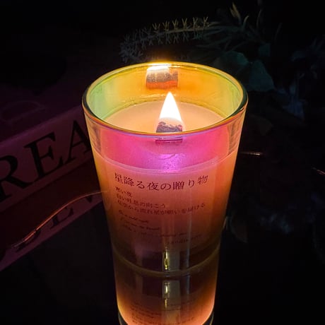 星降る夜の贈り物
