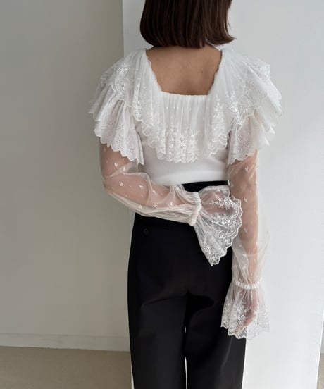 Lace Collar Top