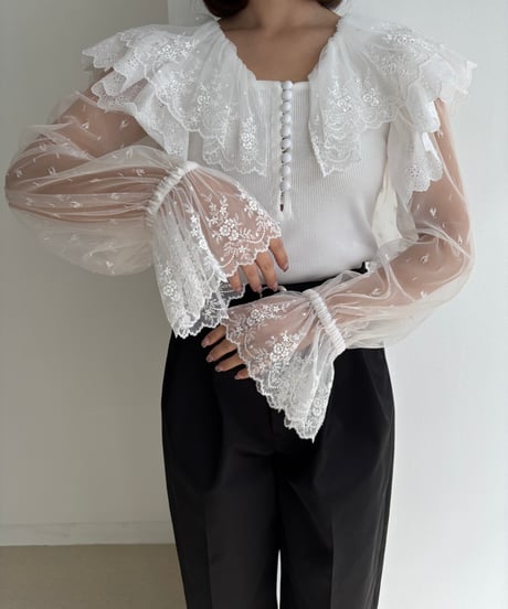 Lace Collar Top