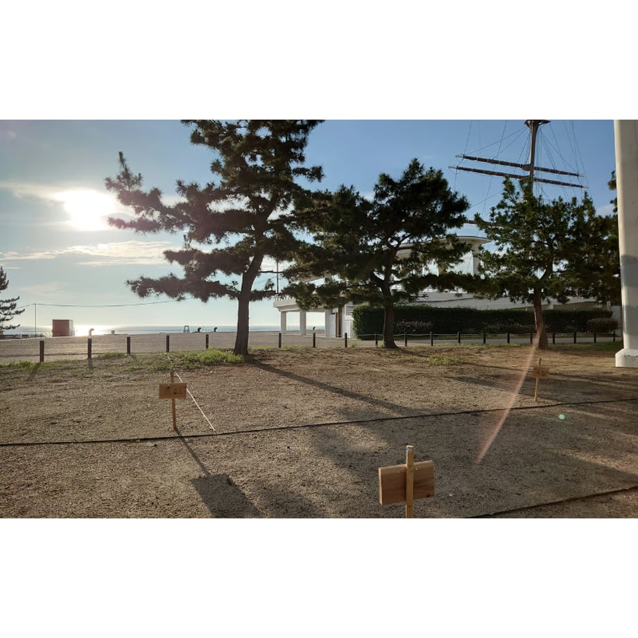 69f06c4d42133e004fd125eb
