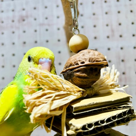モシャかしゃラフィア