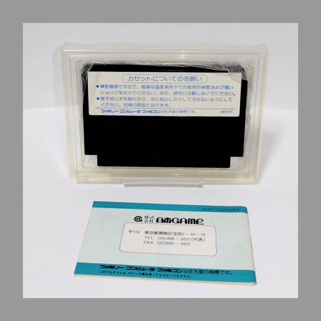 日本GAME ファミコンソフト 飛龍の拳 奥義の書 箱 説明書 付き FC