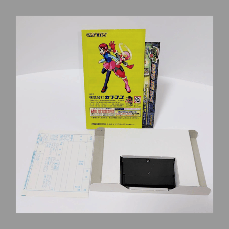 CAPCOM（カプコン）GBA バトルネットワーク ロックマン エグゼ ゲームボーイアドバンス 箱 説明書 付き