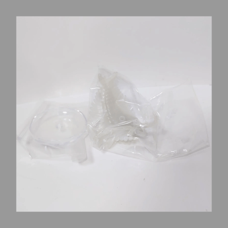 学研プラス 水中最強王図鑑 リアルフィギュア＆リーフ アノマロカリス 無彩色蓄光 フィギュア