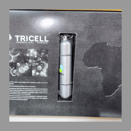 カプコン e-CAPCOM限定販売品 バイオハザード5 LIMITED EDITION Xbox360 特典のみ