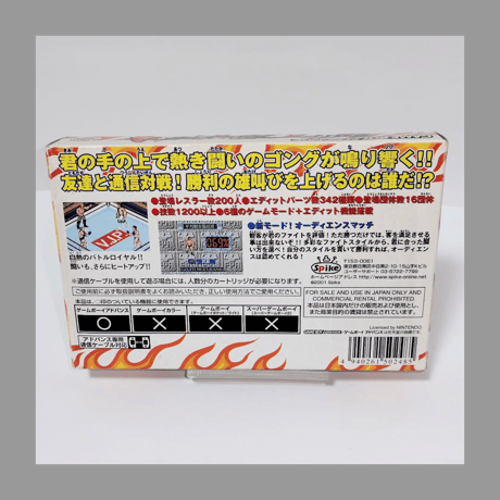 スパイク ファイヤープロレスリングA 箱 説明書 カード 付き GBA ゲームボーイアドバンス