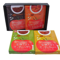 レトルト4種4個セット