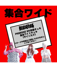 PIGMOZ 1st アルバム　初回限定　グッズ 初回限定“飛び出すモンスター”盤セット】PIGMONZ 1stアルバム（CD