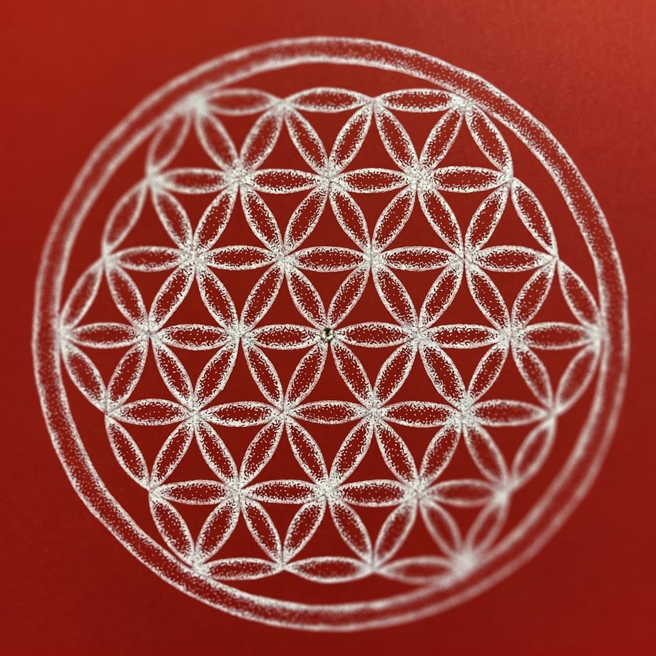 6a1c33509b4c19dcd8f76fe6