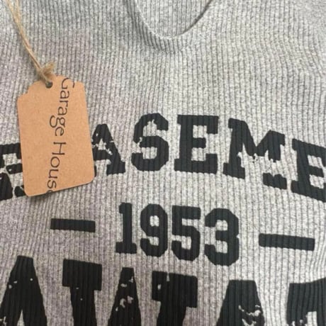 【新品】レディース こなれストリート✨ 大きめ レタープリント カラーブロック 長袖Tシャツ ロンT