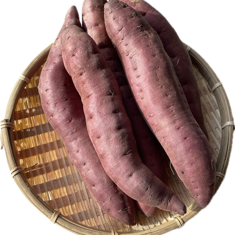 紅あずま（5kg） | MINAMI NOUSAN STORE