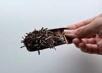角館伝四郎 茶蓑（小）